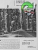 Lincoln 1945 154.jpg